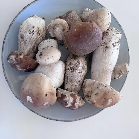 Munhoa 2 A 4 Personnes Caro (Pyrenees-Atlantiques)